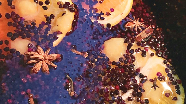 Elderberry Syrup for Cold and Flu Season