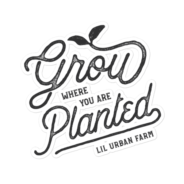 Grow Where You Are Planted Sticker