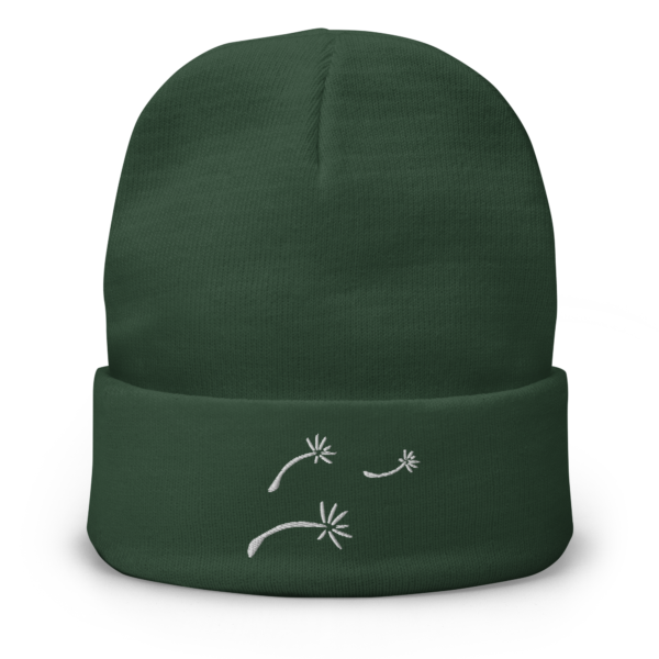 Wish Seeds Embroidered Beanie