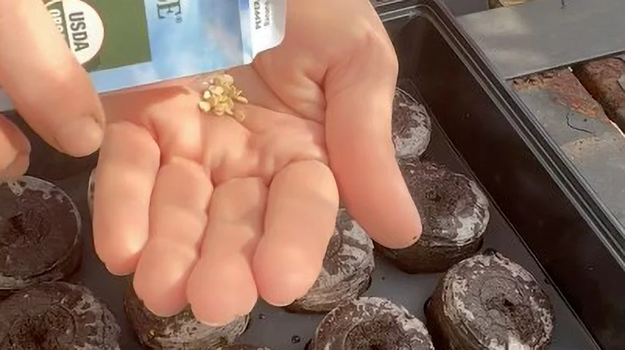Time to start seeds for tomatoes, peppers, and eggplant, but don’t plant outside yet!