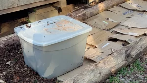Lil Urban Farm Builds a Winesap Mushroom Growing Bed