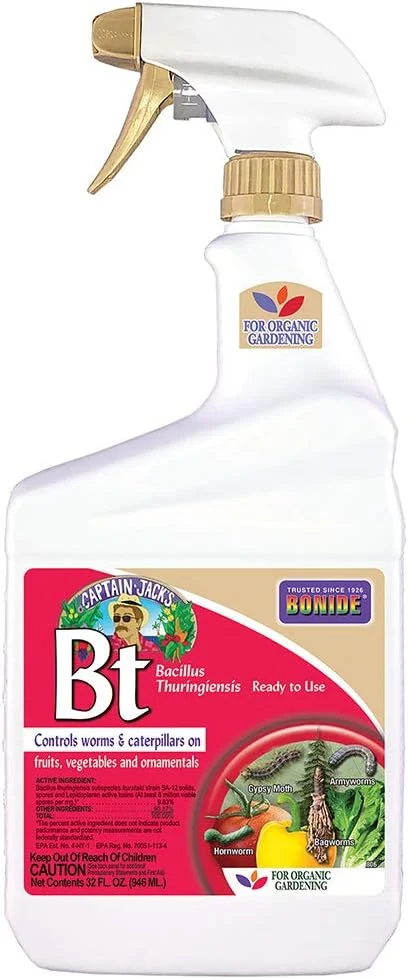 Little Urban Farm recommends Bt bacterium (bacillus thuringiensisi) for stopping garden caterpillars