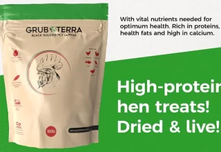 Get 10% Off Grubterra Soldier Fly Larvae for your Chickens with my Coupon code "LILURBAN"
