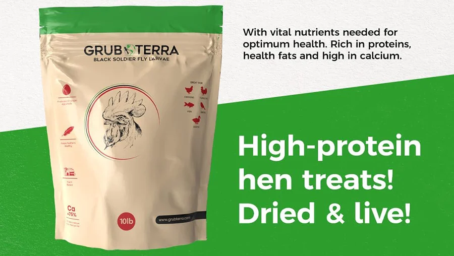 Why I Promote GrubTerra Soldier Fly Treats for my Chickens