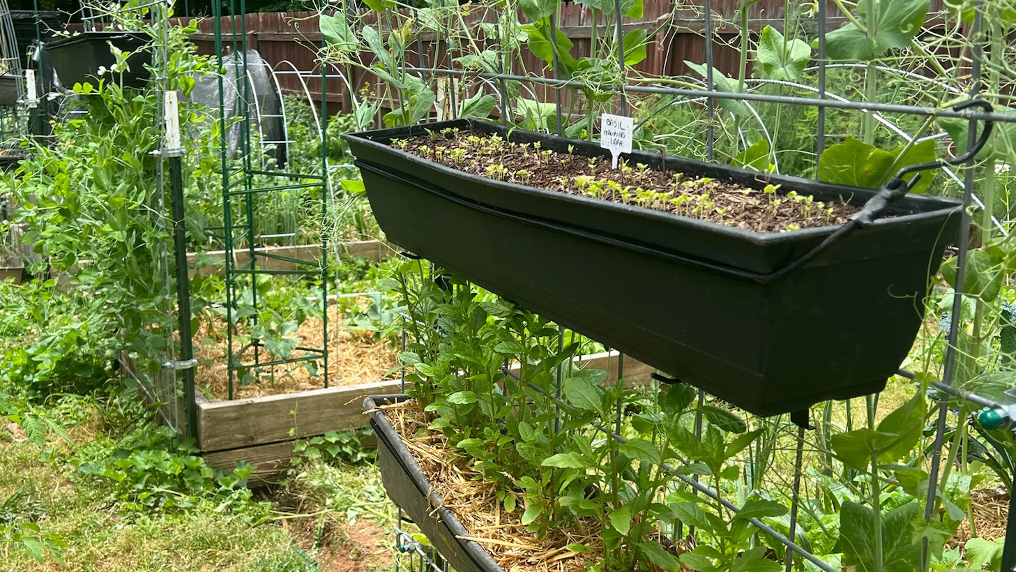 Hanging Vertical Window Box Gardens on Cattle-Panel Trellis Arches