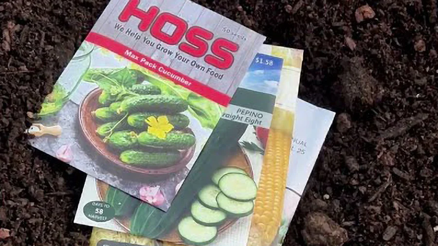 Some Seeds Grow Better Planted Directly Outdoors