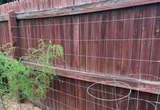 Lil Urban Farm Installs a Wire Trellis on a Fence to Grow Beans
