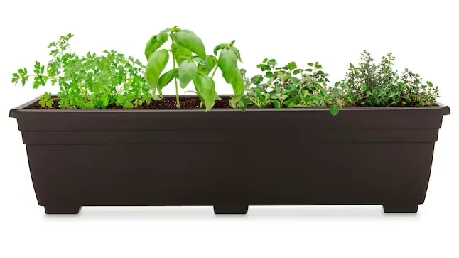 Window Boxes fro Vertical Trellis Hanging Garden from Lil Urban Farm
