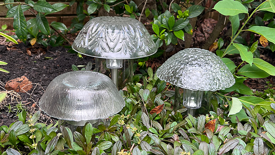 Glass Garden Mushrooms That Light Up at Night
