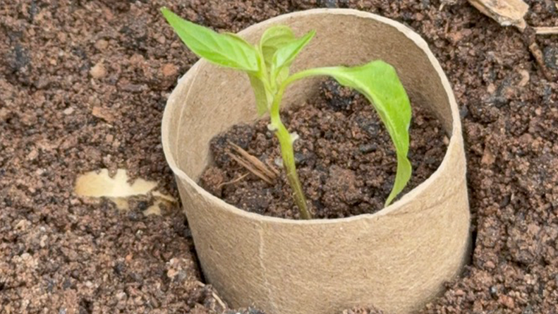 Don’t Throw Away Cardboard Tubes