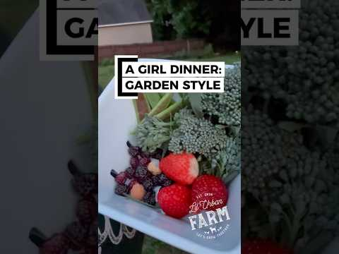 Just wandering the garden and building a plate from whatever is ripe. Girl dinner, but garden style.