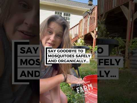 Tired of Mosquitos Already? Me too. Try This and Say Goodbye to Most of Your Mosquitos.