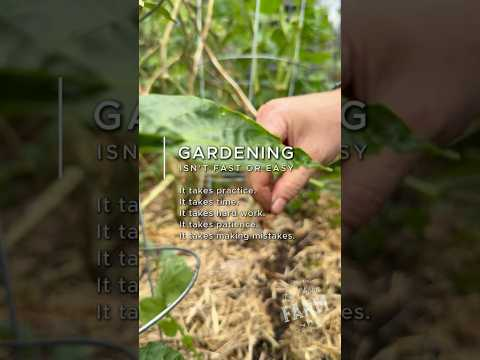 Gardening Isn’t Fast or Easy… But Creating The Abundance Is Worth The Effort