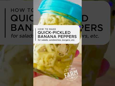 One of the easiest ways to preserve fresh-picked peppers while adding big flavor, is quick pickling
