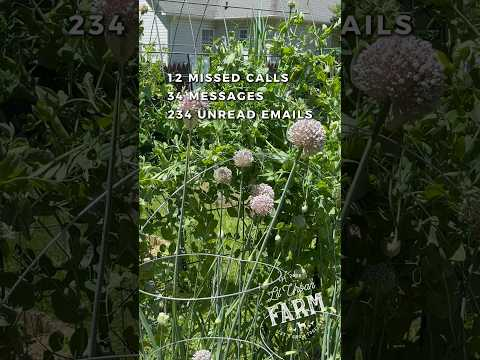 I’m sorry (not sorry), but I can’t come to the phone right now, because… garden.