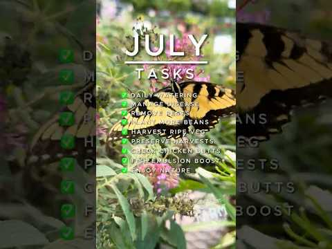 July brings drought, extreme heat, and bugs—so here’s some tasks for the homestead and in the garden