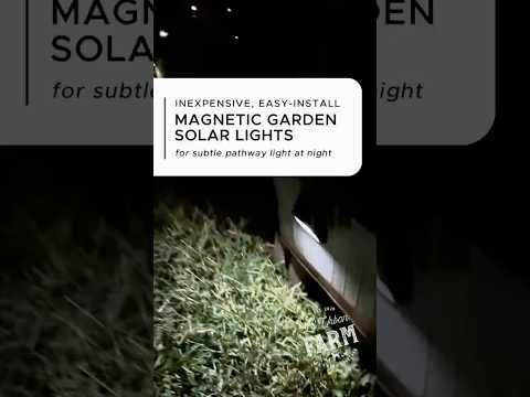 An easy DollarStore hack to add solar lights to the garden.