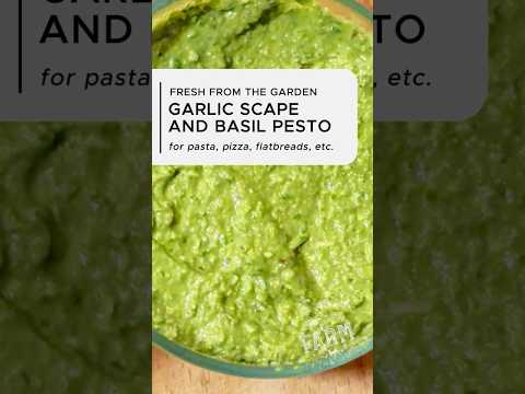Unsure what to do with an abundance of fresh, homegrown garden basil? Make a delicious PESTO!